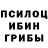 Псилоцибиновые грибы мухоморы Aleksandr Gricenko